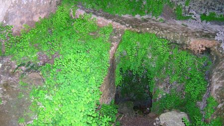Image: Inside a private tomb from Tel Beth Shemesh, during the time of the Old Testament Kings.